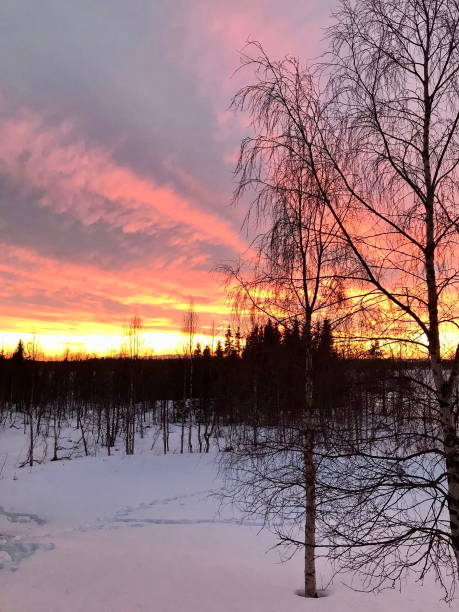 istock Winter Sunset Over Snowy Forest: A Vibrant Sky at Dusk 2179793343