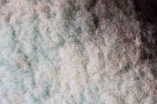 Intricate Blue-Green Fibrous Texture