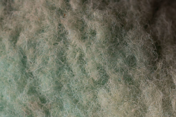 istock Intricate Blue-Green Fibrous Texture 2179795767