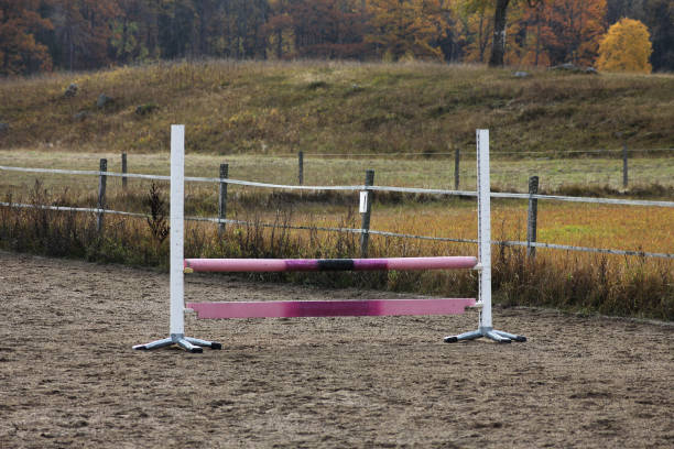 istock A horse jumping hurdles 2179797011
