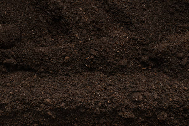 istock Black land for plant background. Top view. 2179802668
