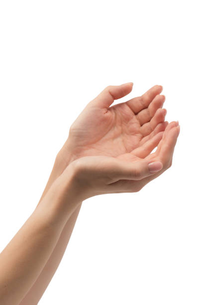 istock Woman hands with nude manicure isolated on a white background. 2179802730