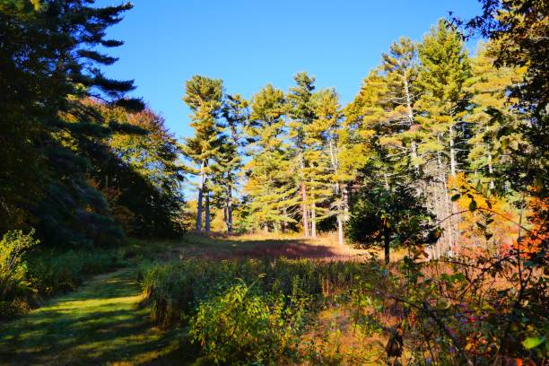 Autumn in New England