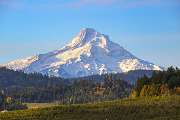 istock Hood River Valley and Mount Hood, Oregon 2179807404