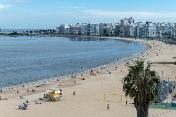 Montevideo, Uruguay-March 30, 2024; Panoramic high level view over popular city beach Playa de los Pocitos known for its lively boardwalk and beachfront activities