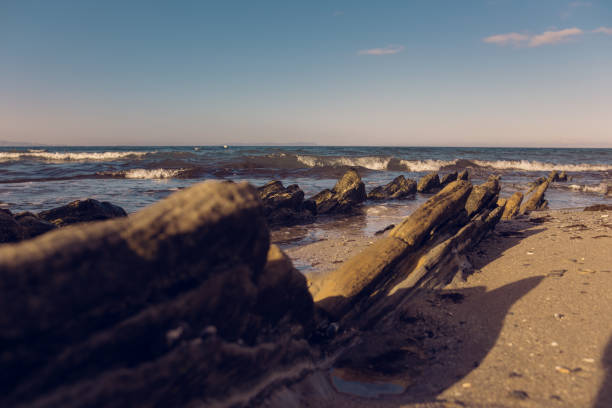 Beautiful sharp stones on the seashore, washed by the waves. Stone ridges on a wild beach. Smooth and long stone formations going into the sea. Beautiful photo of marine nature.