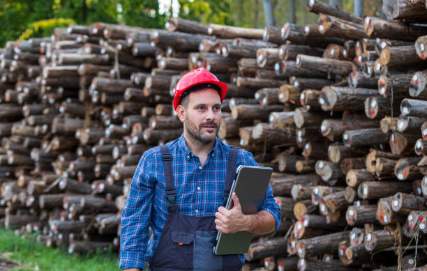 Handsome man forestry engineer holding laptop in front of tree trunks stacked in forest