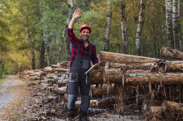 Handsome man forestry engineer waving hand and greeting someone in front of tree trunks stacked in forest