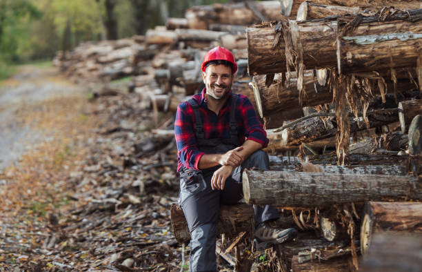 Handsome man lumberjack with helmet sitting on tree trunk stacked in forest