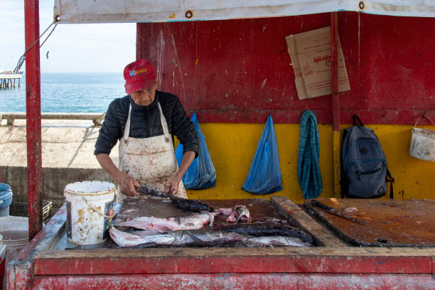 Valparaiso, Chile-April 13, 2024; Close up of a fishmonger in a stand gutting and cleaning fish at the fish market of the city