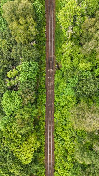 istock Aerial railway through lush forest 2179819979