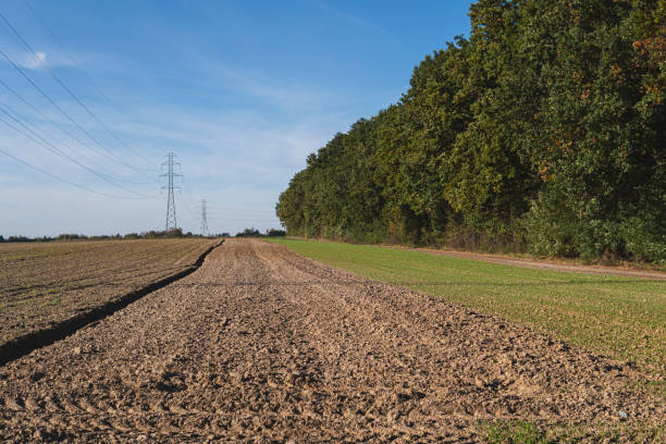 Landscape with empty fields in front of forest during sunny day in autumn