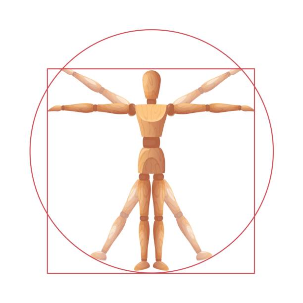 istock Vitruvian man mannequin. Wooden dummy sculpture in iconic Leonardo da Vinci art pose, human anatomy and body proportion model. Joint figure puppet vector illustration 2179829112
