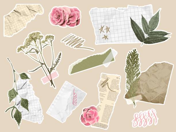 scherenschnitt-elemente. botanische collage mit zerrissenen papierstücken, kritzeleien, zweigen mit blättern und blumen. coquette ästhetisches journal florales design vektor set - weiblichkeit stock-grafiken, -clipart, -cartoons und -symbole
