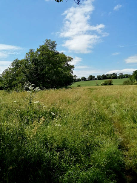 istock English countryside 2179831876