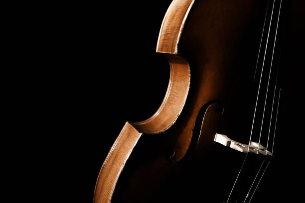 istock Double bass. Contrabass classical music instrument 2179841548