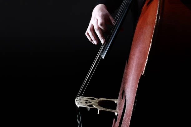 istock Double bass strings. Hands playing contrabass pizzicato. 2179841549