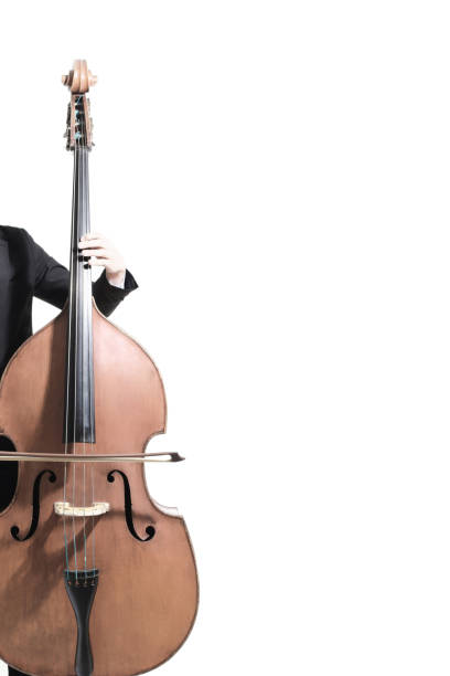 istock Double bass player. Hands playing contrabass 2179842337