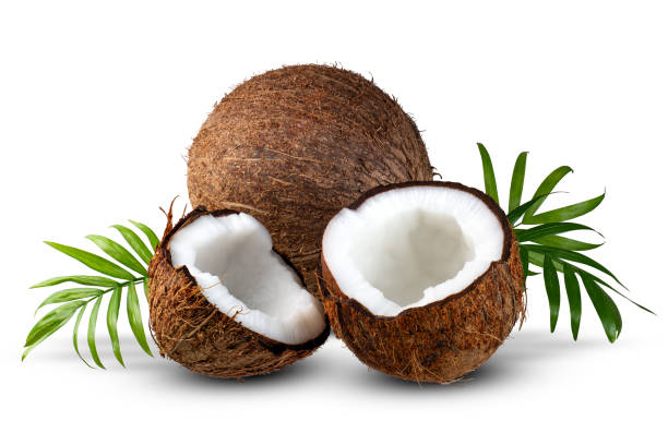 istock Two coconuts, one of them broken in half, lie on a white surface with green leaves. 2179845713