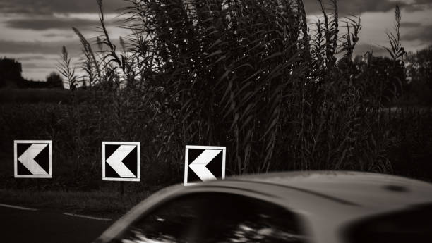 A black-and-white photograph shows a section of a moving car in the foreground, partially blurred as it passes by three reflective traffic signs with bold arrows. Behind the signs, tall, dense vegetation stands against an evening sky, adding depth and contrast to the image. The reflective signs stand out starkly against the darker natural backdrop, while the motion of the car introduces a dynamic element to the otherwise calm and quiet rural setting.