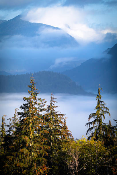 The Cowichan Valley on a foggy morning.