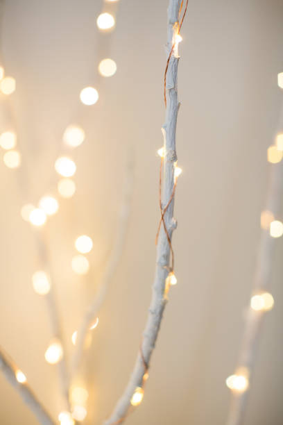 istock Twinkling Lights on Frosty White Branches 2179858990