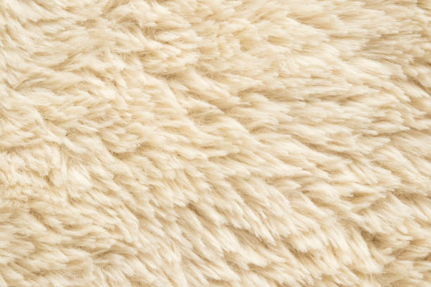 istock Brown fluffy fur fabric wool texture background 2179859194