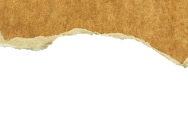 istock Brown ripped paper torn edges strips isolated on white background 2179859200