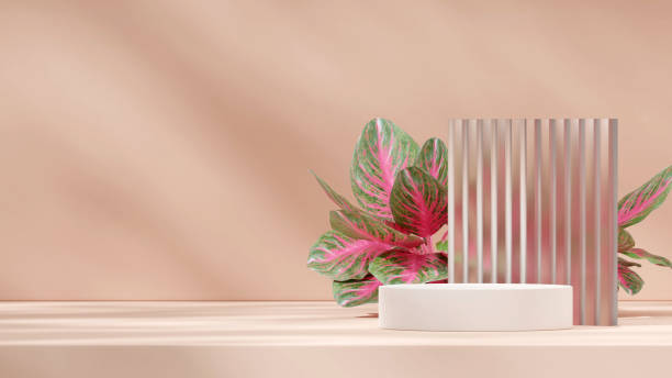 istock frosted glass and red chinese evergreen 3D image render blank space white round podium in landscape 2179865980