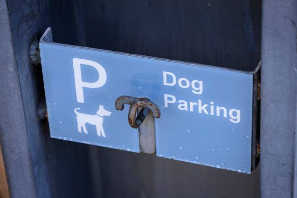 istock Designated Dog Parking Spot with Convenient Leash Hook 2179867507