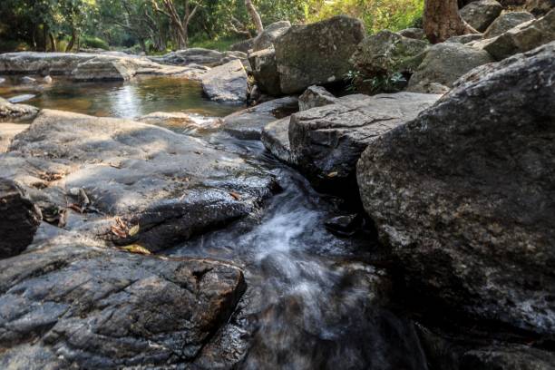 istock Flowing Stream through a Lush Forest Landscape 2179870503