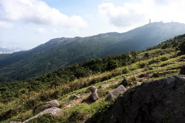 istock Hiking Trail Leading Up to a Mountain Peak 2179870517