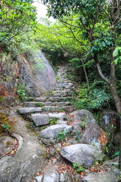 istock Stone Pathway Leading Through Lush Green Forest Trail 2179870704