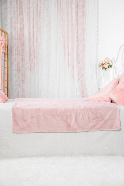 istock Cozy Bedroom In Pink Pastel Tones 2179873335