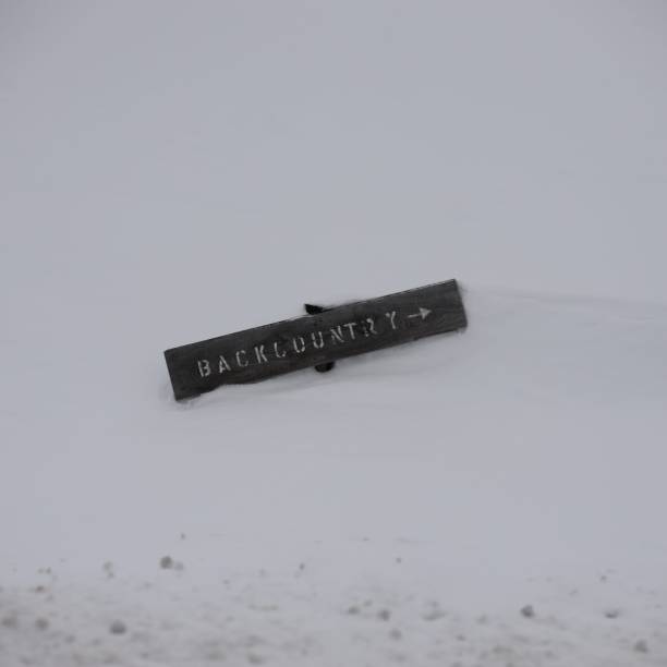 istock Back Country this way sign 2179875020