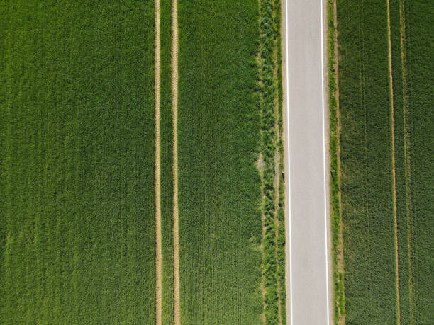 istock View from above of a road between green wheat fields in spring 2179885265