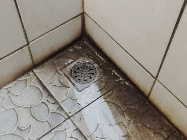 istock Drainage In Dirty Bathroom 2179885931