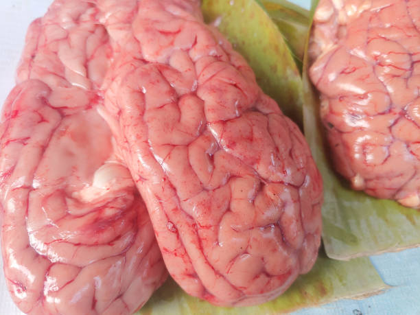 istock Close up of Pink cow brain before cooking 2179896181