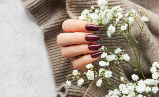 istock Elegant deep burgundy nails displayed alongside delicate white flowers on a cozy knit sweater backdrop 2179900372