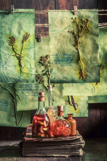 istock Odd and strange herbal workshop with dried herbs and flowers 2179900792