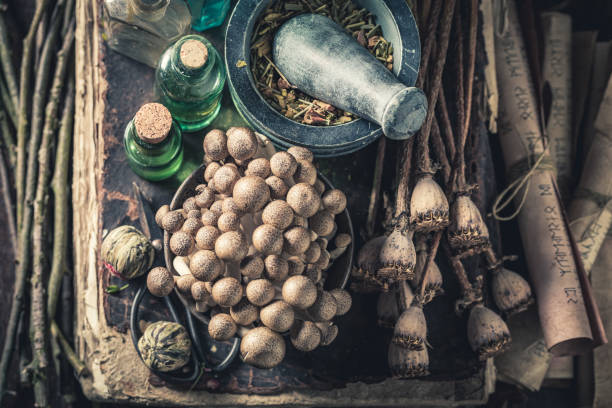 Weird herbal laboratory with ingredients and herbs