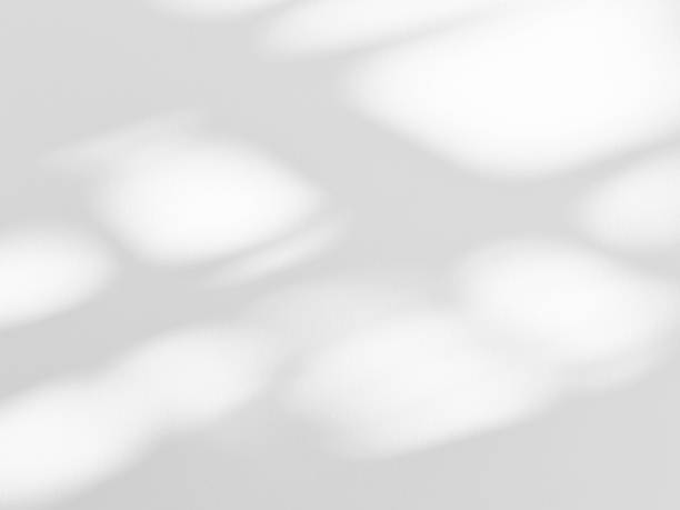 istock Shadow of leaves tree plant overlay on white wall. 2179901521