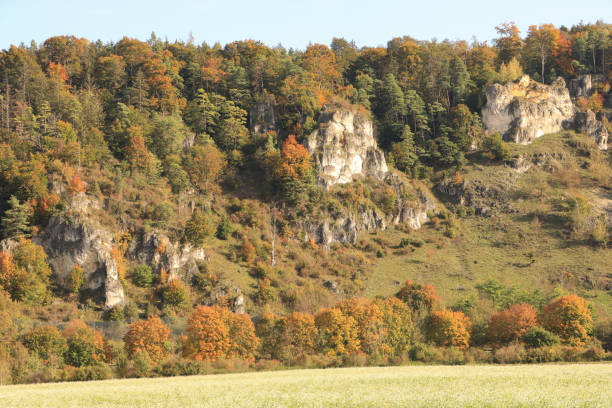 Altmuehl Valley Wall