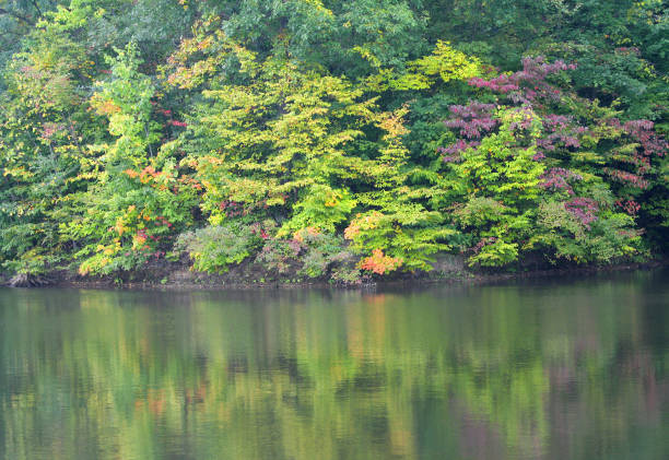 Autumn Colors and Reflection on The Lake in Mooresville, Indiana, USA