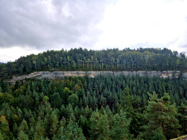 pinus silvestris, quercus robur, Plateaus and mesas of sandstone are covered with forest pine. distant views from cone-shaped volcanoes with panoramic clouds