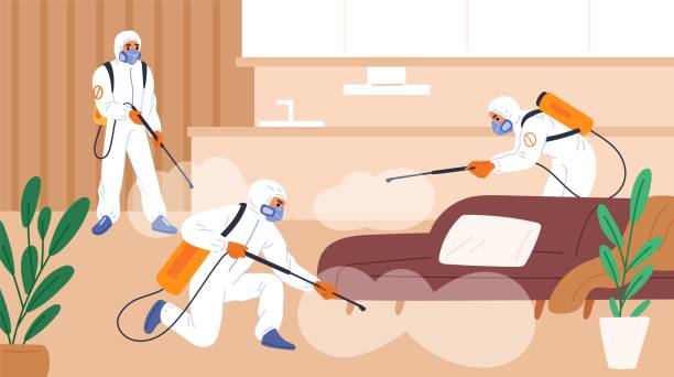 Specialists exterminate parasites in room. Pest control. Interior chemical treatment. Protective uniforms. Exterminators spray insecticide. Disinfect sprayer. Garish vector concept Specialists exterminate parasites in room. Pest control service. Interior chemical treatment. People in protective uniforms. Exterminators spray insecticide. Disinfect sprayer. Garish vector concept office fogging stock illustrations
