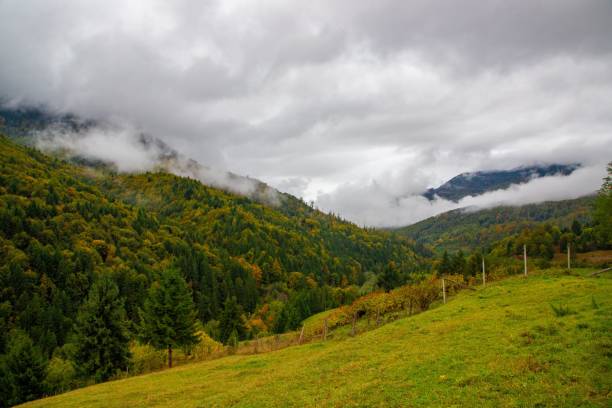 istock Scenic view of lush green mountains with misty clouds. 2179922852
