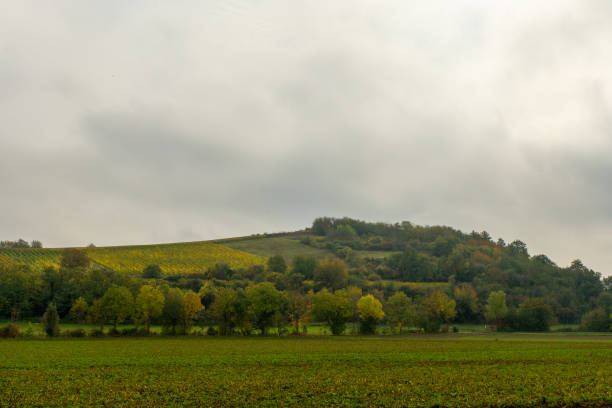 Beautiful summer landscape, green hills of Fruska Gora, travelling to Serbia