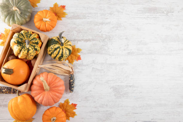 istock Pumpkins on White Wooden Table 2179930083