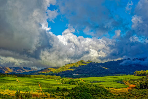 Fruit plantations in wide valley on the Bo-Piketberg mountain plateau in overcast weather in the Western Cape, South Africa